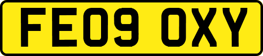 FE09OXY