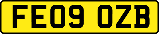 FE09OZB
