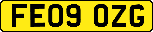 FE09OZG
