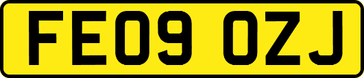 FE09OZJ