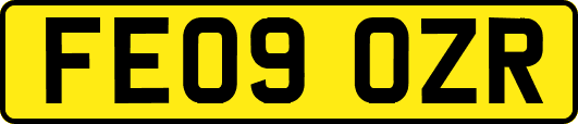 FE09OZR