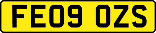 FE09OZS