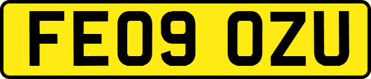 FE09OZU