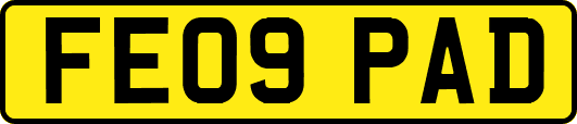 FE09PAD