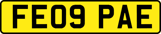 FE09PAE