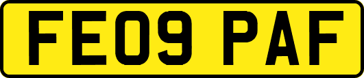 FE09PAF