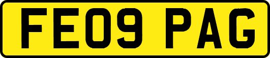 FE09PAG