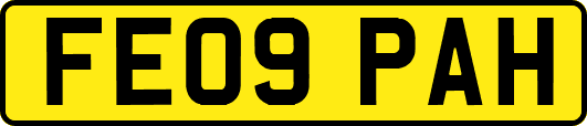FE09PAH