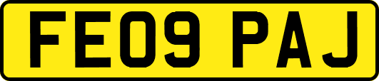 FE09PAJ