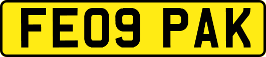 FE09PAK