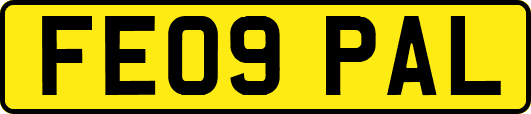 FE09PAL