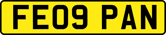 FE09PAN