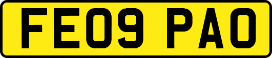 FE09PAO