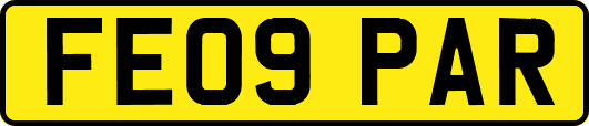 FE09PAR