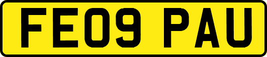 FE09PAU