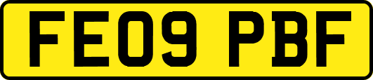 FE09PBF