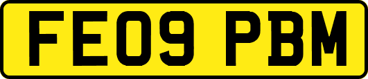 FE09PBM