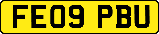 FE09PBU