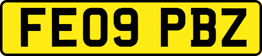 FE09PBZ