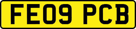 FE09PCB