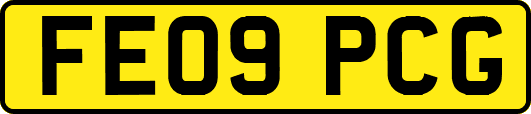 FE09PCG