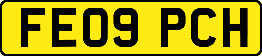 FE09PCH