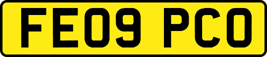 FE09PCO