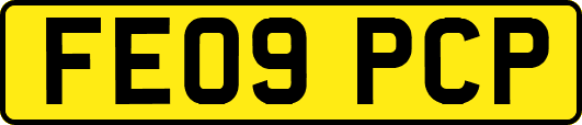 FE09PCP