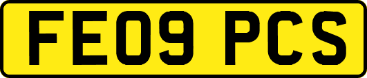 FE09PCS