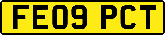 FE09PCT