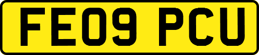 FE09PCU