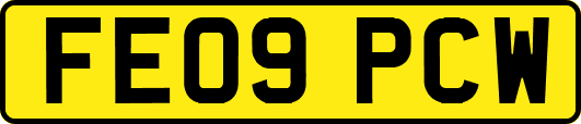 FE09PCW
