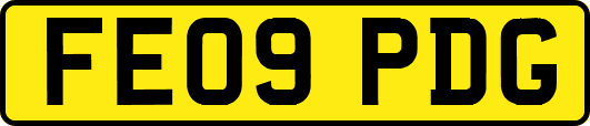 FE09PDG