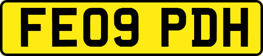 FE09PDH