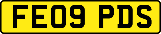 FE09PDS