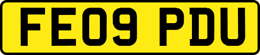 FE09PDU