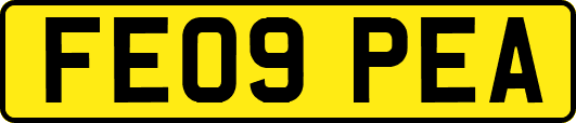 FE09PEA