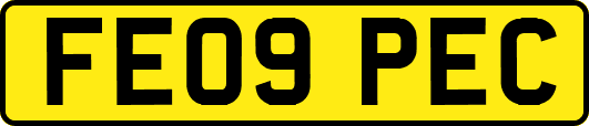 FE09PEC