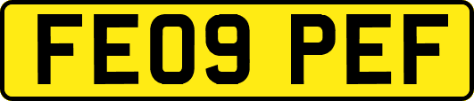 FE09PEF