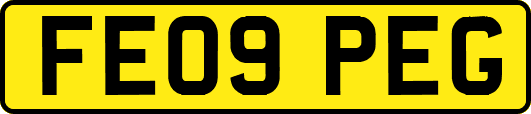 FE09PEG