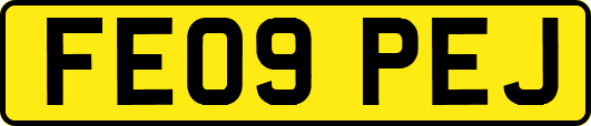 FE09PEJ