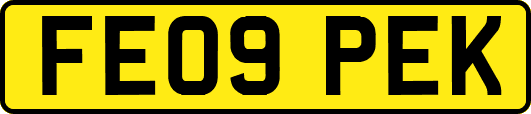FE09PEK