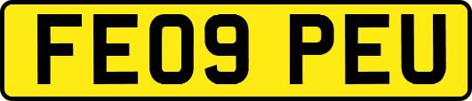 FE09PEU