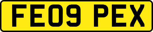 FE09PEX