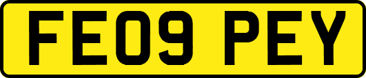 FE09PEY