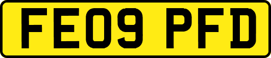 FE09PFD