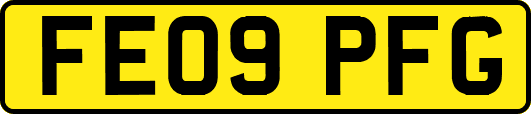 FE09PFG