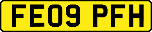 FE09PFH