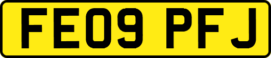 FE09PFJ
