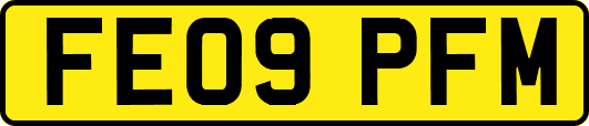 FE09PFM